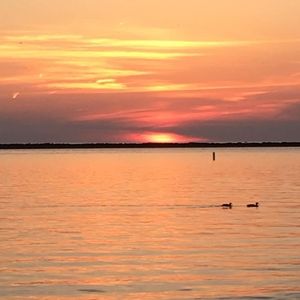 Meet your Posher, Sandy